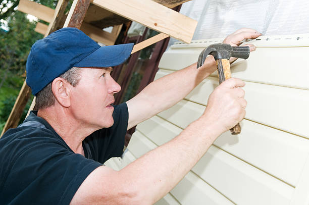 Shed Removal